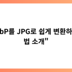 “WebP를 JPG로 쉽게 변환하는 방법 소개”