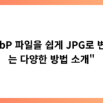 “WebP 파일을 쉽게 JPG로 변환하는 다양한 방법 소개”