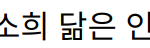 유병재 열애 인정, 배우 한소희 닮은 인플루언서와의 사랑 이야기